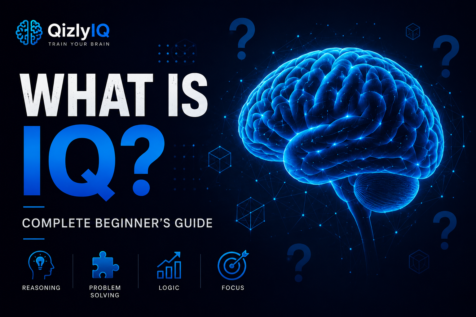 What Is IQ